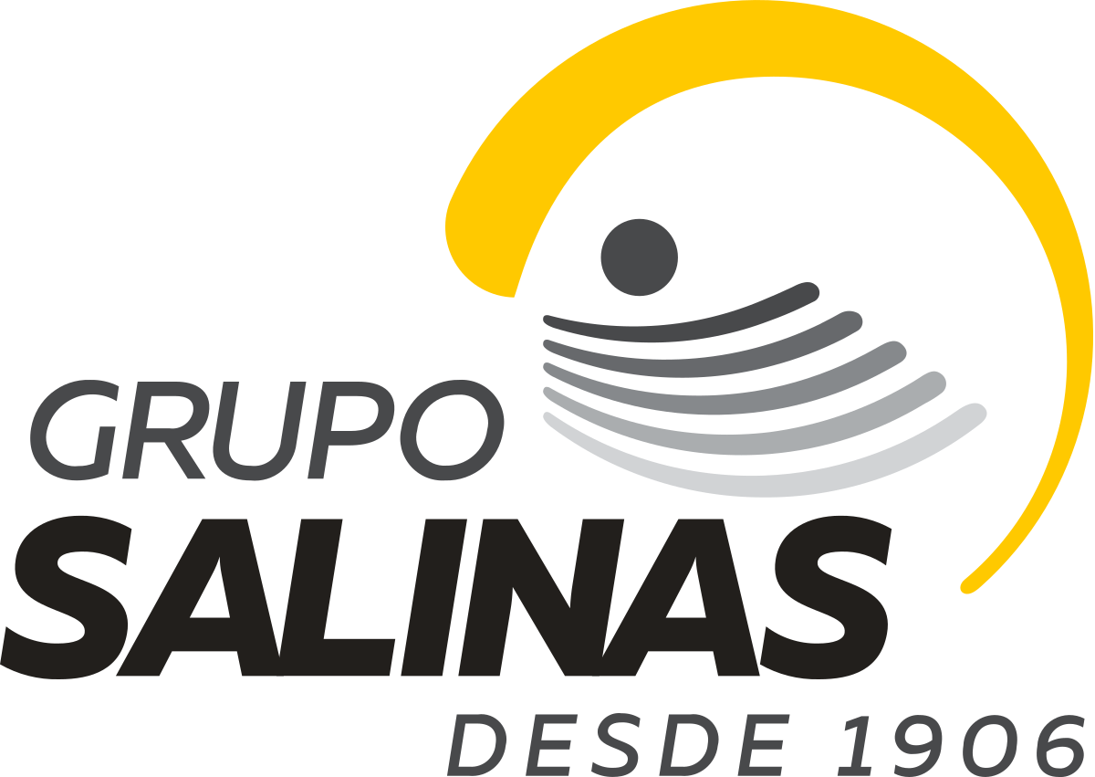 Alianza https://b2bmedea.com/wp-content/uploads/2024/05/Logotipo_de_Grupo_Salinas.svg.png