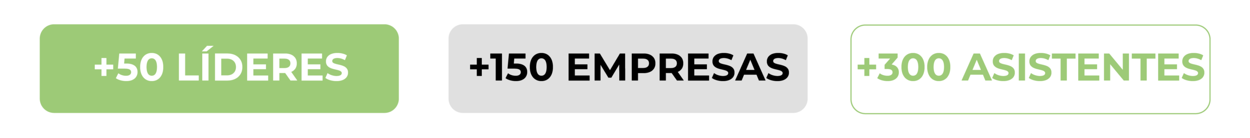 texto esg